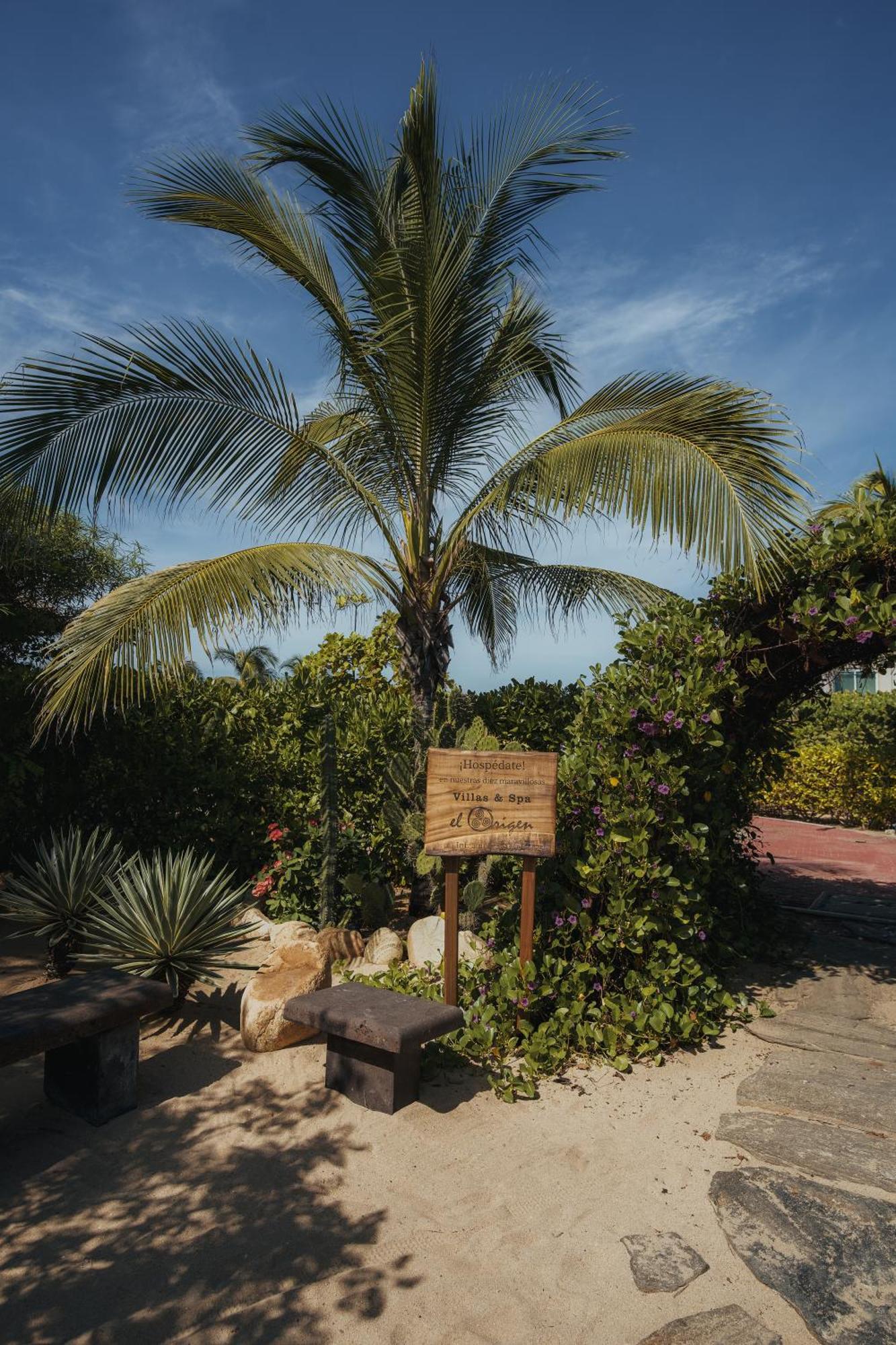 El Origen Villas & Spa-Puerto Escondido Puerto Escondido  Luaran gambar